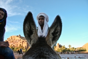 Eselsführer an der Kasbah Ait Benhaddou, Marokko