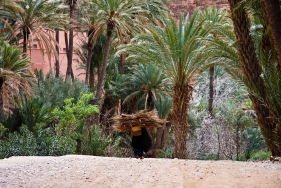 Timguilcht-Schluchten Antiatlas, Marokko