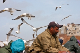 Im Hafen von Essaouira, Marokko