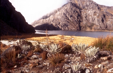 Die Laguna Verde liegt auf ca. 3900m