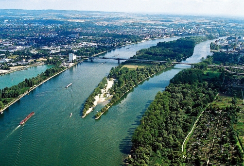 Schiersteiner Brücke und Rettbergsaue im Rhein