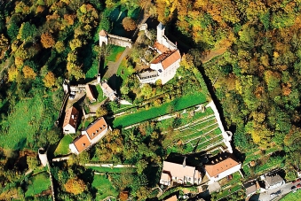 Luftbild: ehemaliges Karmeliterkloster in Hirschhorn am Neckar