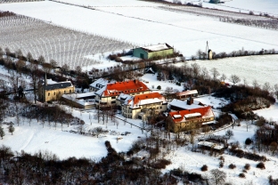 Kloster Jakobsberg in Rheinhessen, Missionsbenediktiner