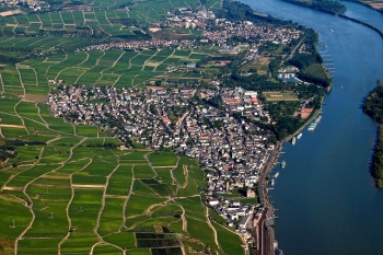 Luftbild Rüdesheim im Rheingau
