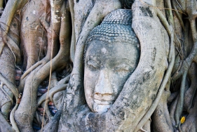 THAILAND, Buddah in den Ruinen von Ayutthaya, Weltkulturerbe der UNESCO