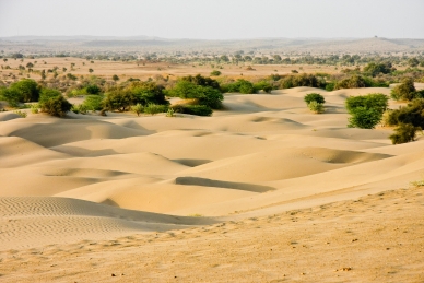 INDIEN, Desert Nationalpark, Wüste Thar, Tentativliste der UNESCO