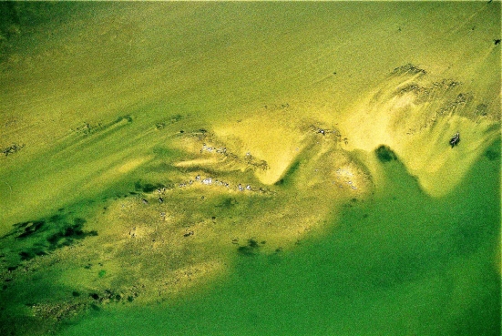 Sandbank im Rhein bei Ingelheim 13.09.2003
