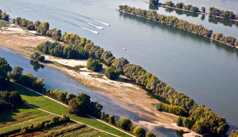 Der Rhein bei Ingelheim 03.10.2015