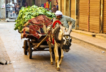 Altstadt in Kairo