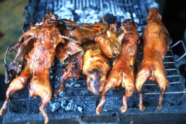 Cuy, gegrillte Meerschweinchen sind eine Delikatesse in Ecuador