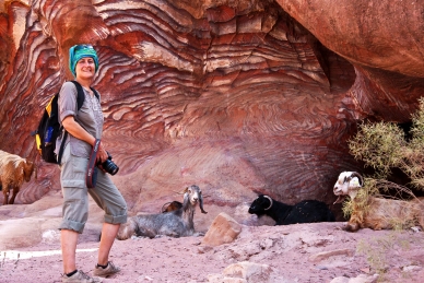 Ziegen vor einer Wohnhöhle in Petra