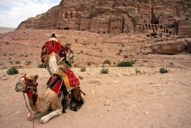 Reitkamele vor den Königsgräbern in Petra
