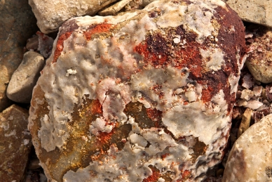Eine dicke Salzkruste überzieht die Steine im Uferbereich