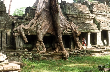 Ta Prohm, Seam Reap, Kambodscha 2003