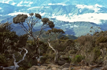 Aufstieg zum Mount Kinabalu (4095 m), Sabah, Borneo, Malaysien