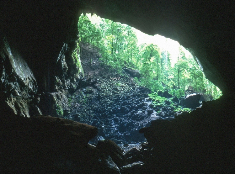 Fledermaushöhlen in Mulu, Sarawak, Borneo, Malaysien