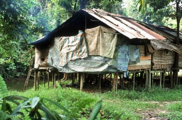 Behausung der Penan in Sarawak, Borneo, Malaysien