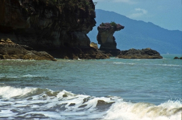 Nationalpark Bako, Sarawak, Borneo, Malaysien