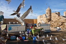 Im Hafen von Essaouira, Marokko