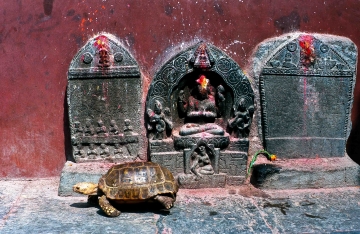 Heiligenschrein in Kathmandu