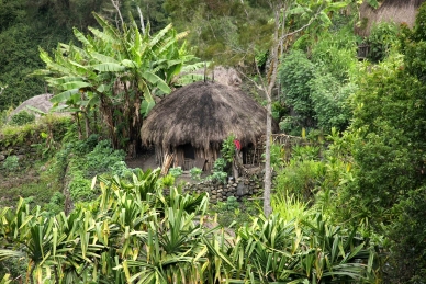 Traditionelle Behausung der Dani auf Neuguinea