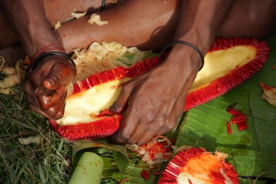 Exotische Küche in West Papua