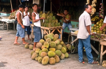 Davao City auf Mindanao ist die Welthauptstadt der Durian