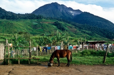 Paradise, Mount Apo, Mindanao, Philippinen