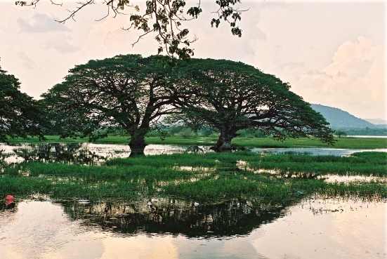 Yale Park, Tissamaharama, Sri Lanka