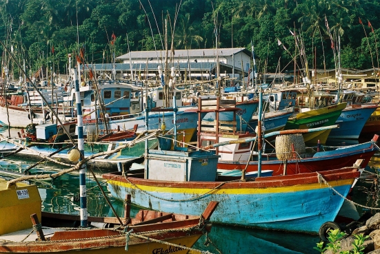 Fischereihafen von Mirissa, Sri Lanka
