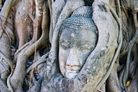 Buddah in Ayutthaya, Thailand