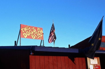 Den Howling Dog kennt jeder in Alaska