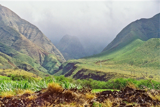 Haleakala, Maui, Hawaii