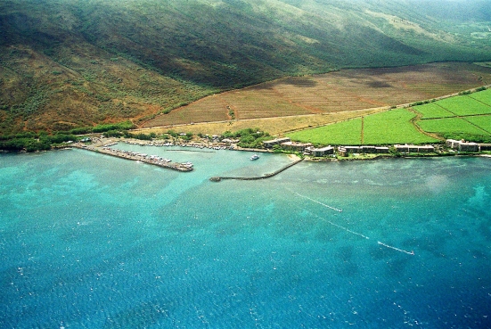 Maalaea Bay, Maui, Hawaii