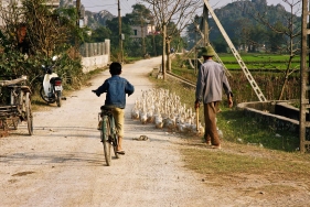 Landleben bei Hanoi, Vietnam