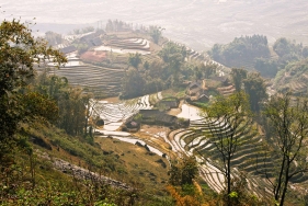 Reisterrassen bei Sapa, Vietnam 