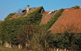 Nonnenaue Heidesheim