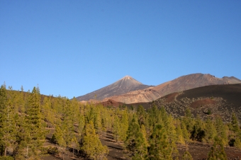 SPANIEN, Nationalpark Teide, Teneriffa, Weltnaturerbe der UNESCO