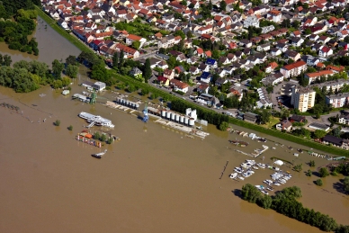 Freiweinheimer Hafen bei Hochwasser am 04.06.2013