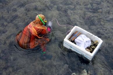 Beduinenfrau beim Muscheltauchen im Roten Meer