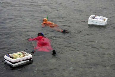 Beduinenfrauen beim Muscheltauchen im Roten Meer