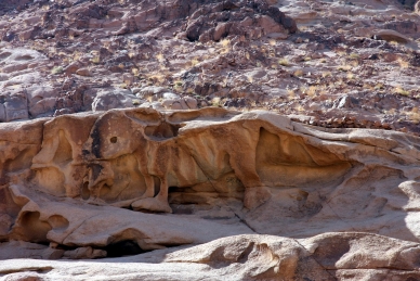 Goldenes Kalb, St. Katharina, Sinai, Ägypten