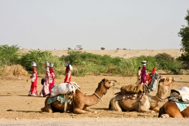 In der Wüste Thar bei Khuri