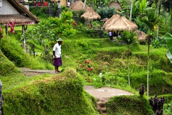 Tegallalang, Bali, Indonesien