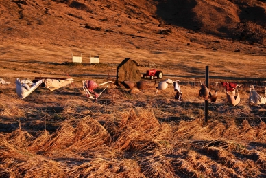 Büstenhalter auf einem Stacheldrahrzaun in Island
