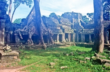 Ta Prohm, Seam Reap, Kambodscha 2003