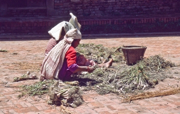 Marktfrauen in Kathmandu, Nepal