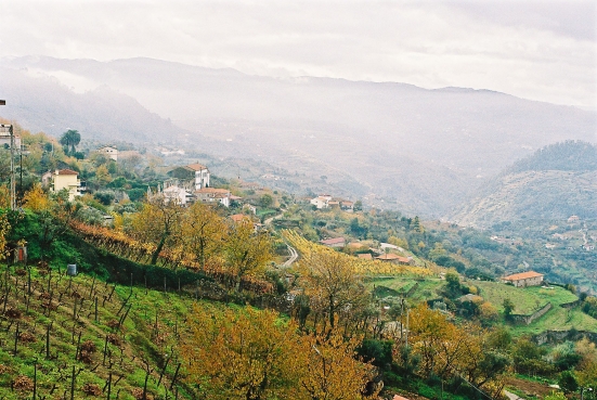 Alto Douro, Portugal