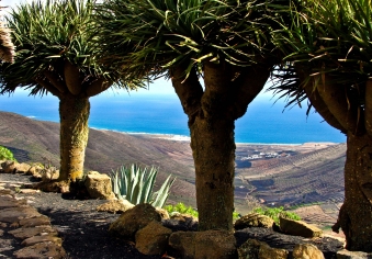  Mirador de Haria, Lanzarote, Kanarische Inseln, Spanien