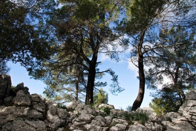 Serra de Tramuntana, Mallorca